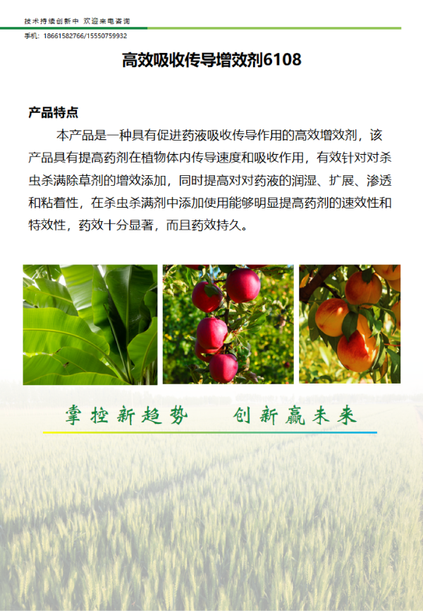 高效吸收传导增效剂6108